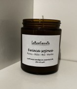 wax4.jpg